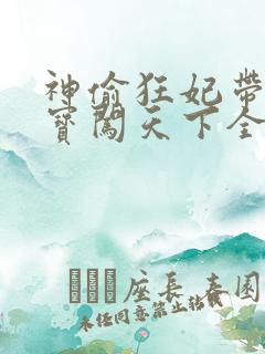 神偷狂妃带着宝宝闯天下全文免费阅读