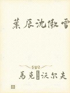 叶辰沈傲雪宁馨