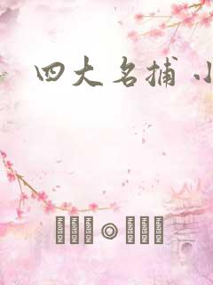四大名捕 小说