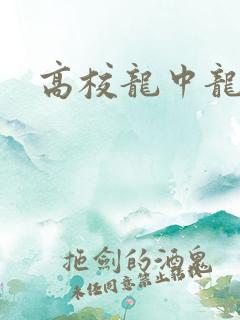 高校龙中龙