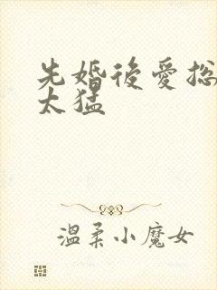 先婚后爱总裁别太猛