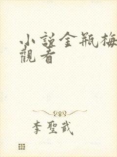 小说金瓶梅在线观看