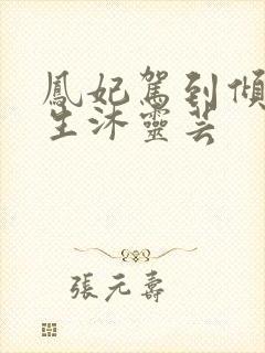 凤妃驾到倾倒众生沐灵芸