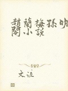 赵兰梅孙明笔趣阁小说