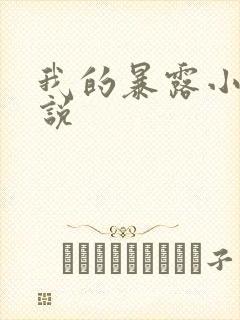 我的暴露小说小说