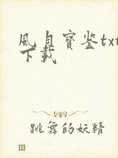 风月宝鉴txt下载