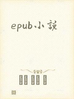 epub小说