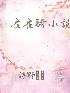 夜夜骑小说