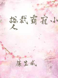 总裁霸宠小小女人