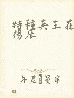 特种兵王在都市杨辰