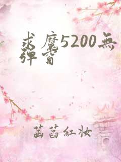 求魔5200无弹窗