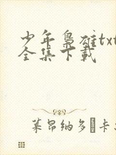 少年枭雄txt全集下载