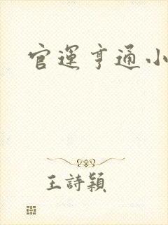 官运亨通小说
