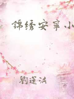 锦绣安宁小说