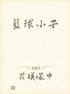 篮球小子