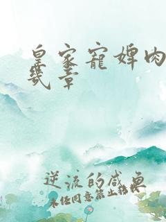 皇家宠婢肉在第几章