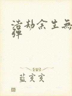 浩劫余生无限子弹