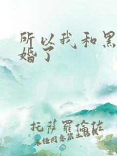 所以我和黑粉结婚了