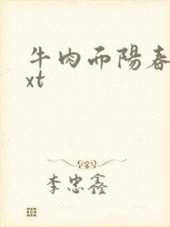 牛肉面阳春面txt