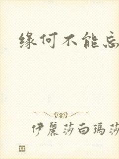 缘何不能忘记你