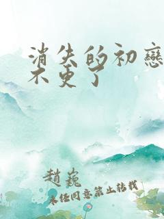 消失的初恋为啥不更了