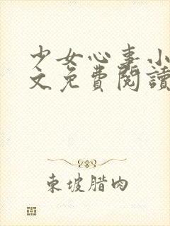 少女心事小说全文免费阅读