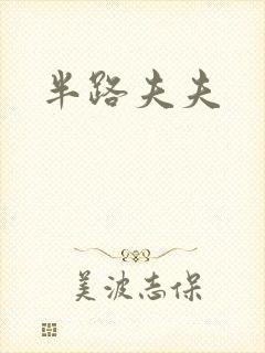 半路夫夫