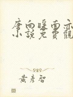 唐向暖南亦琛的小说免费观看