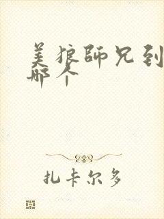 美狼师兄到底选哪个