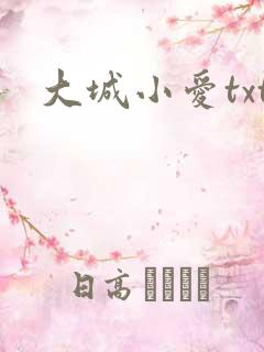 大城小爱txt