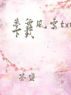 梦舞风云txt下载