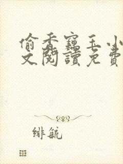 偷香窃玉小说全文阅读免费