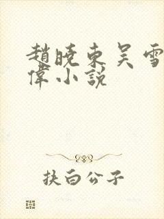 赵晓东吴雪晴郑伟小说