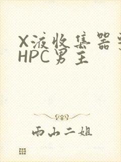 X液收集器系统HPC男主