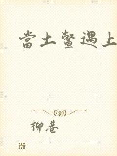 当土鳖遇上海龟