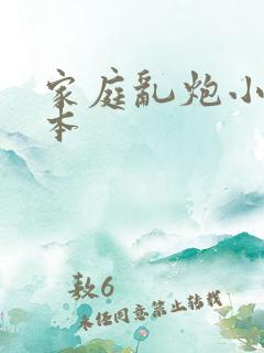 家庭乱炮小说全本