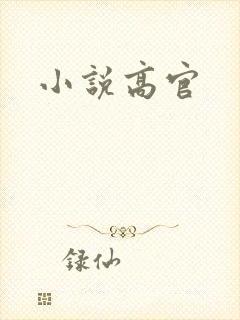 小说高官