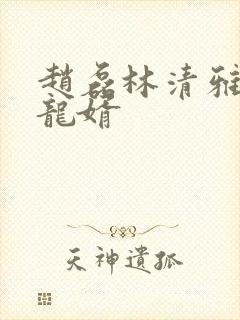 赵磊林清雅上门龙婿