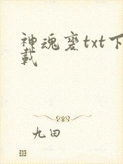 神魂变txt下载