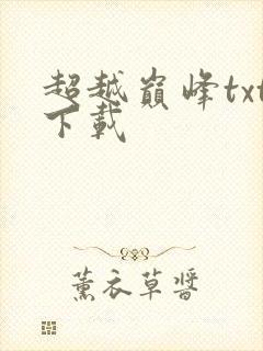超越巅峰txt下载