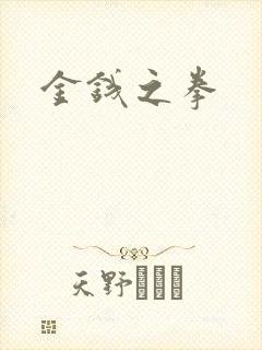 金钱之拳