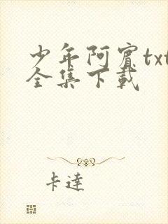 少年阿宾txt全集下载