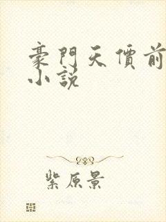 豪门天价前妻 小说