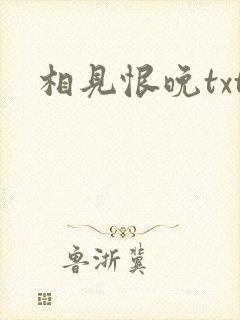相见恨晚txt
