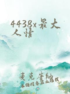 4438x最大人情