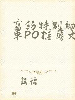 写的特别细的开车PO推荐文多人