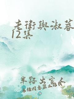 老卫与淑蓉1一12集