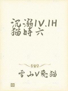 沉溺1V.1H猫时六