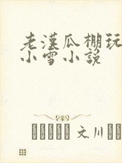 老汉瓜棚玩小丹小雪小说