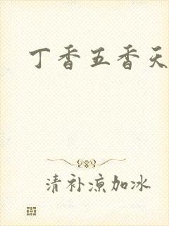 丁香五香天麻豆